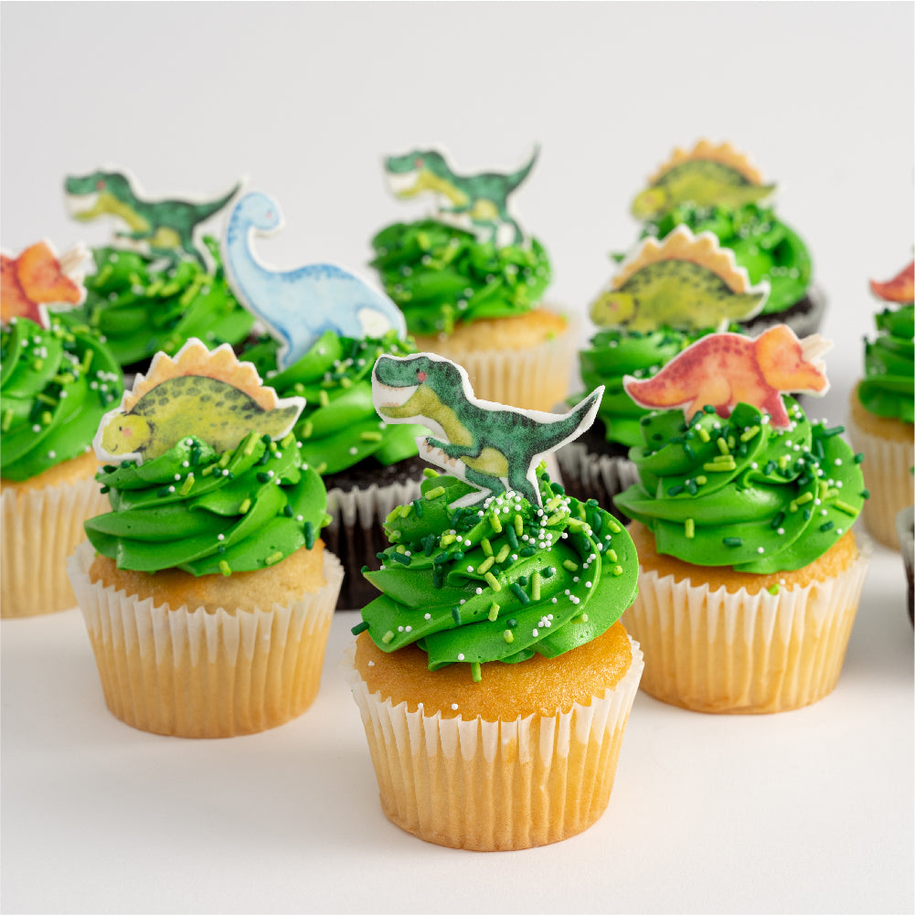 Dinosaur Kingdom Cupcakes Delivery Los Angeles for Birthday & Special