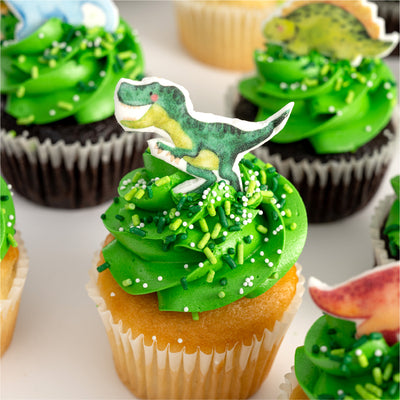 Dinosaur Kingdom Cupcakes - Sweet E's Bake Shop - The Cupcake Shop