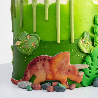 Dinosaur Kingdom Cake - Sweet E's Bake Shop - The Cake Shop