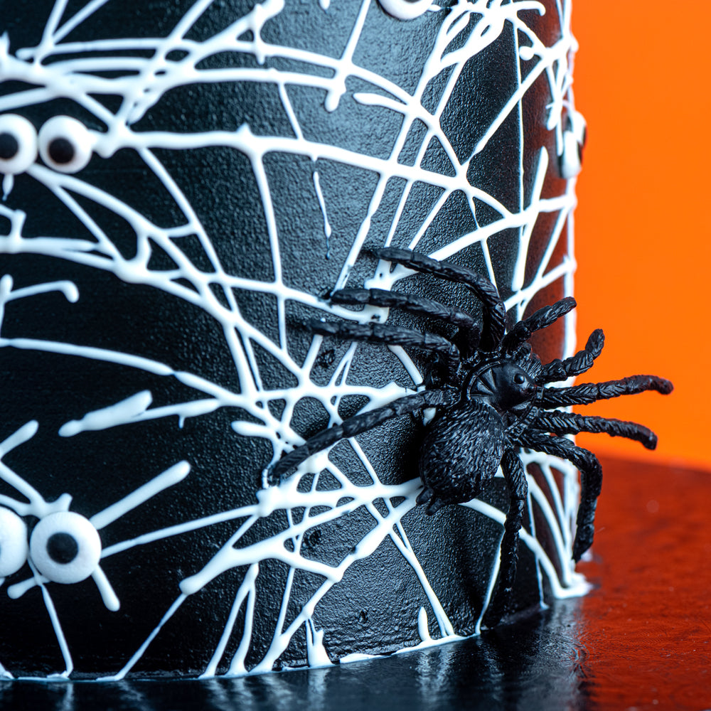 Spooky Spider Web Cake - Sweet E's Bake Shop - The Cake Shop