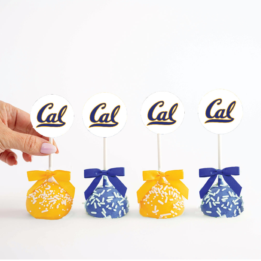 Custom Grad Cake Pops | Upload Your Artwork - Sweet E's Bake Shop - Sweet E's Bake Shop