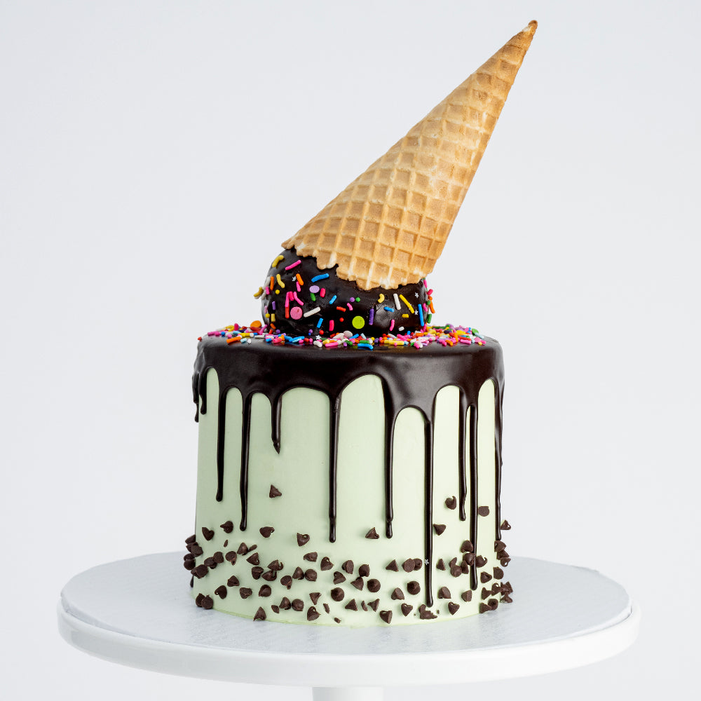 ICE CREAM CAKE | Mint Chocolate Chip Ice Cream - Sweet E's Bake Shop - The Cake Shop