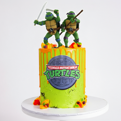 Ninja turtle Birthday