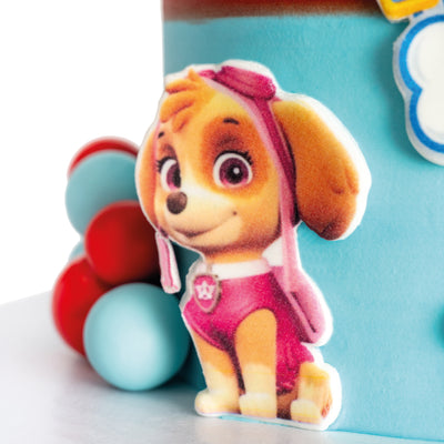 Paw Patrol