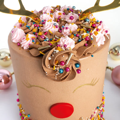 Reindeer Cake