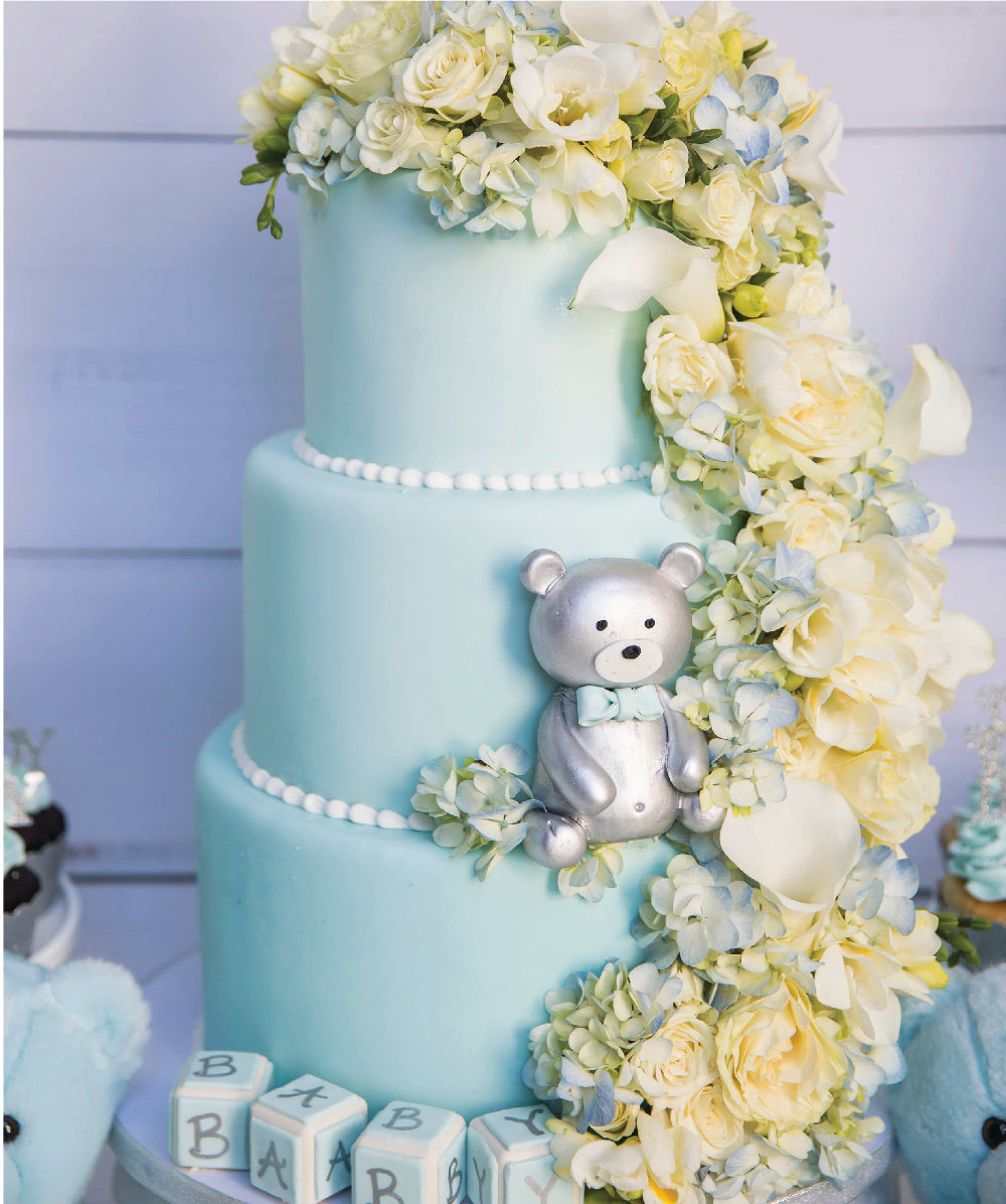 Mia's Baby Shower Cake - Sweet E's Bake Shop - The Cake Shop