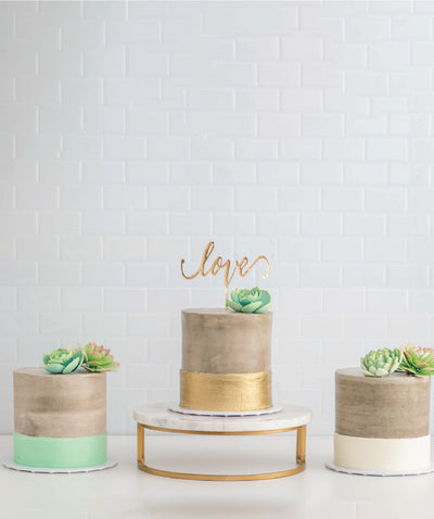 Succulent Concrete Cakes - Sweet E's Bake Shop - The Cake Shop