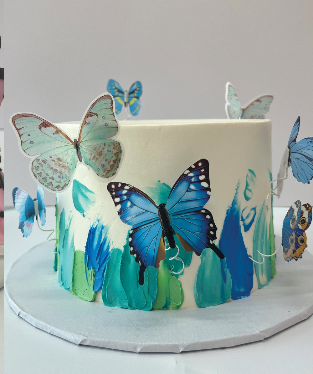 Butterfly Ombre Cake - Sweet E's Bake Shop - The Cake Shop