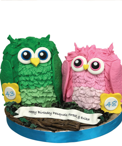 3D Owl Birthday Cake