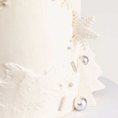 Winter Wonderland Cake - Sweet E's Bake Shop - The Cake Shop