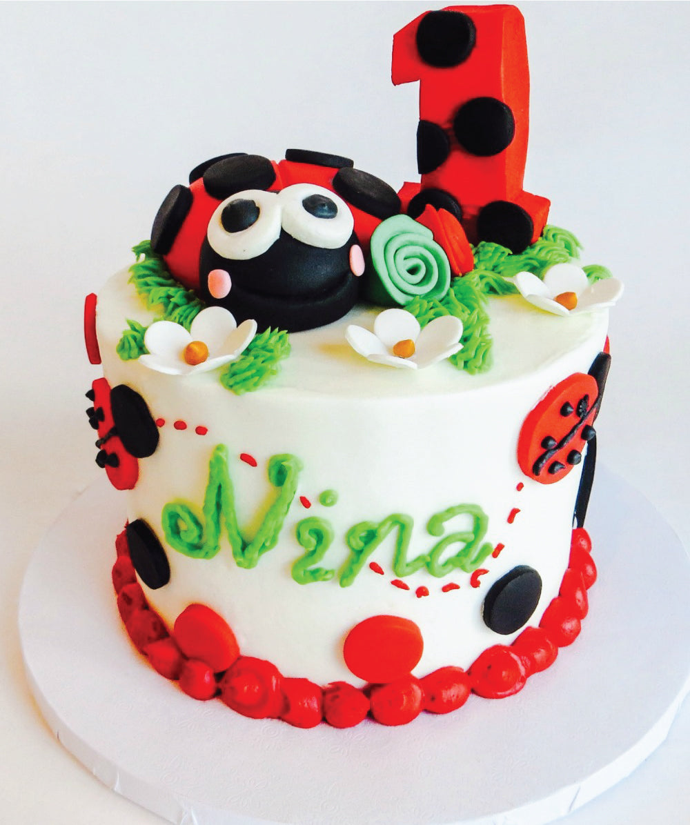 Lady Bug Smash Cake - Sweet E's Bake Shop - The Cake Shop