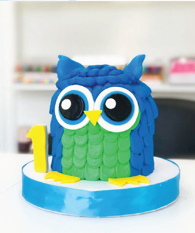 Owl Smash Cake - Sweet E's Bake Shop - The Cake Shop