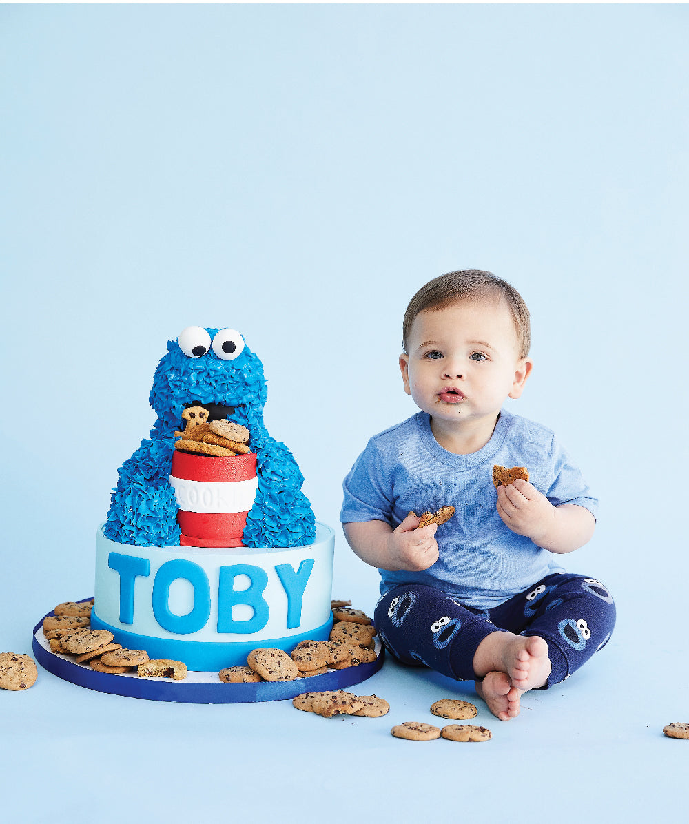Cookie Monster Smash Cake cookie-monster-smash-cake