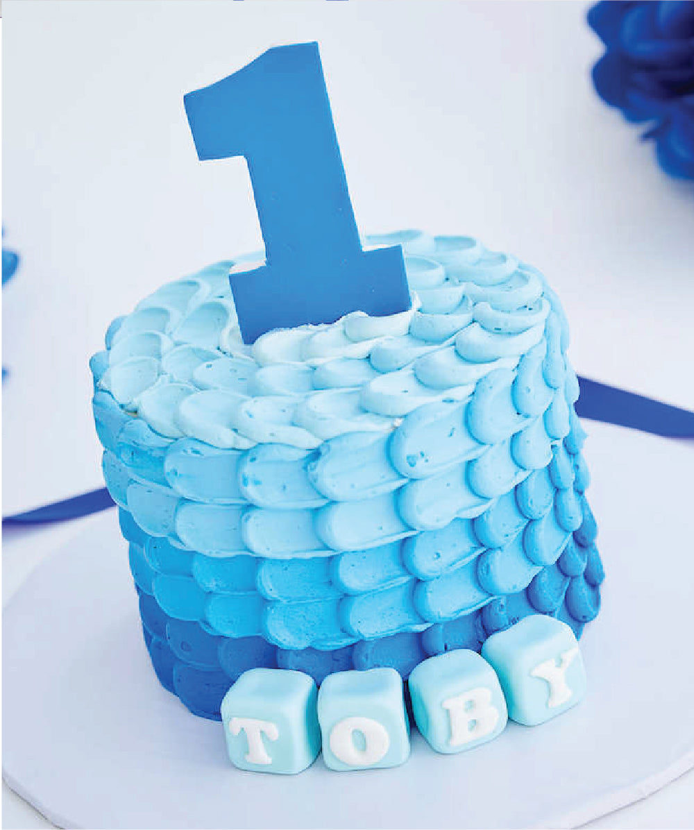 Blue Ombre Toby Smash Cake - Sweet E's Bake Shop - The Cake Shop