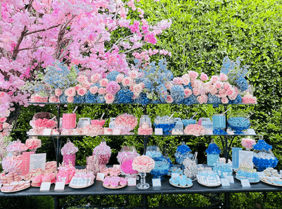 Gender Reveal Dessert Table - Sweet E's Bake Shop