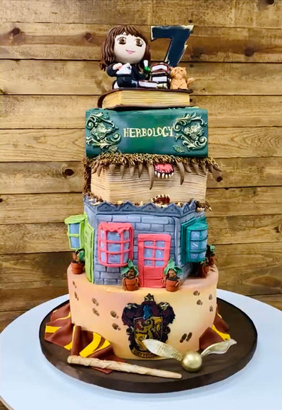 Harry Potter Cake - Sweet E's Bake Shop