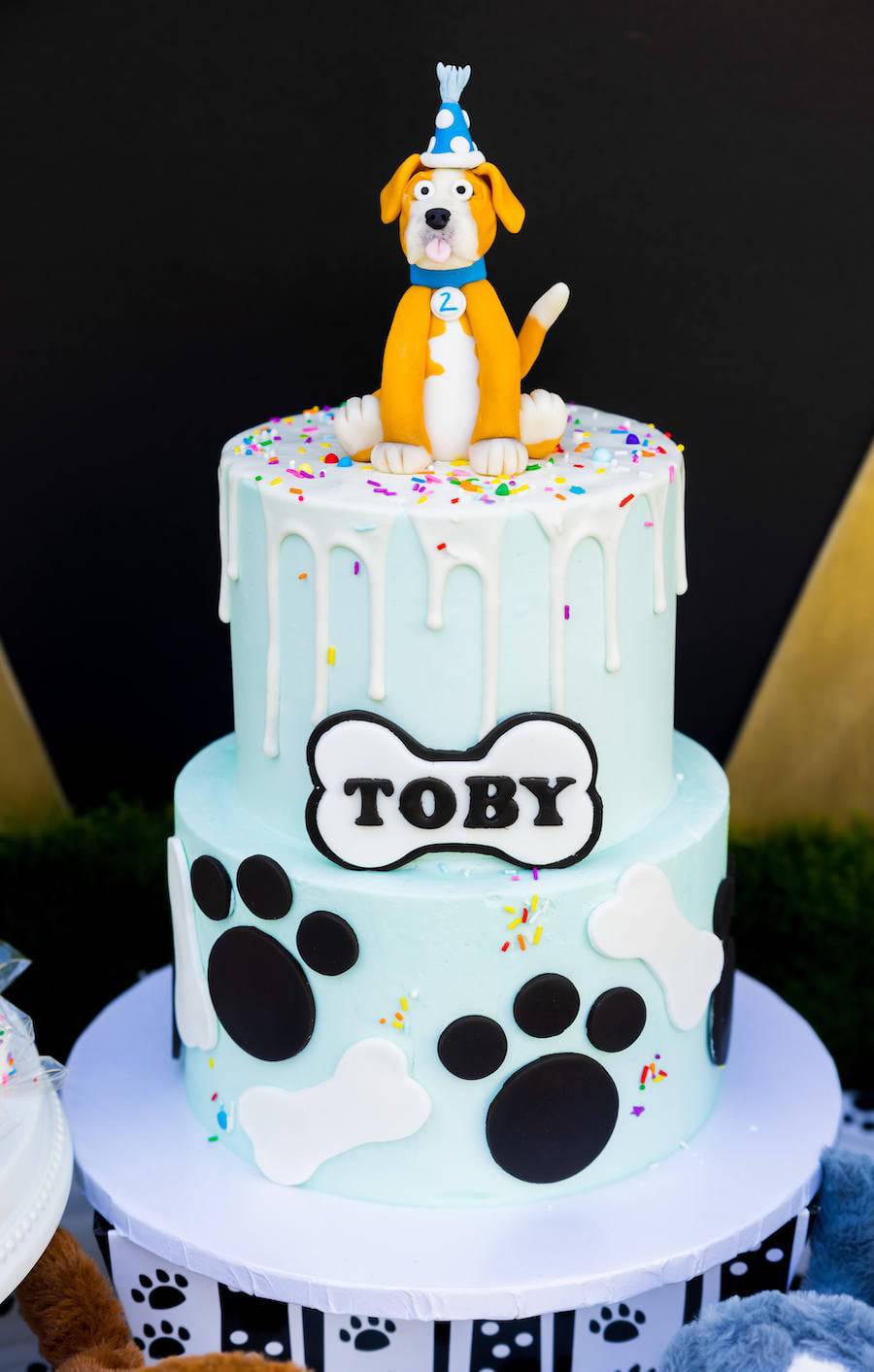 Puppy Party Birthday Cake - Sweet E's Bake Shop
