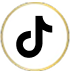 TikTok Icon